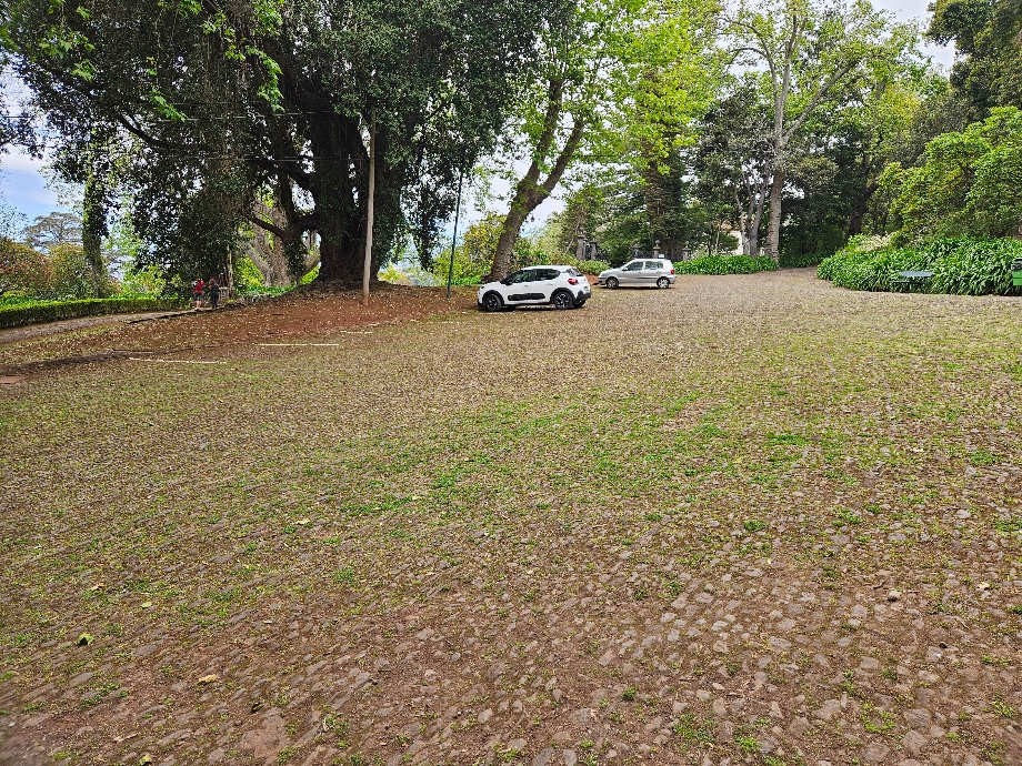 Cat Park at Palheiro Gardens in Funchal, Madeira.