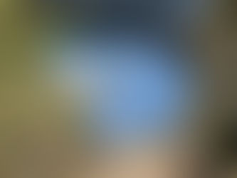 Wapta Falls in Yoho National Park