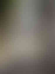 Street in Valenca do Minho, Portugal.