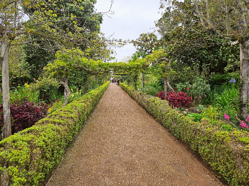 Palheiro Gardens in Funchal, Madeira