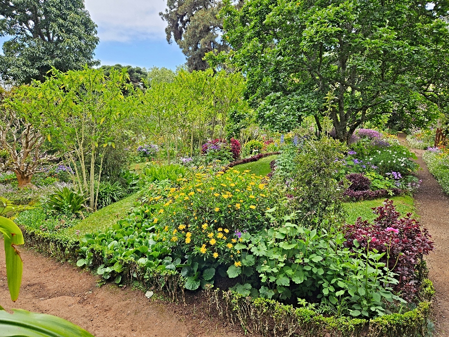 Palheiro Gardens in Funchal, Madeira.