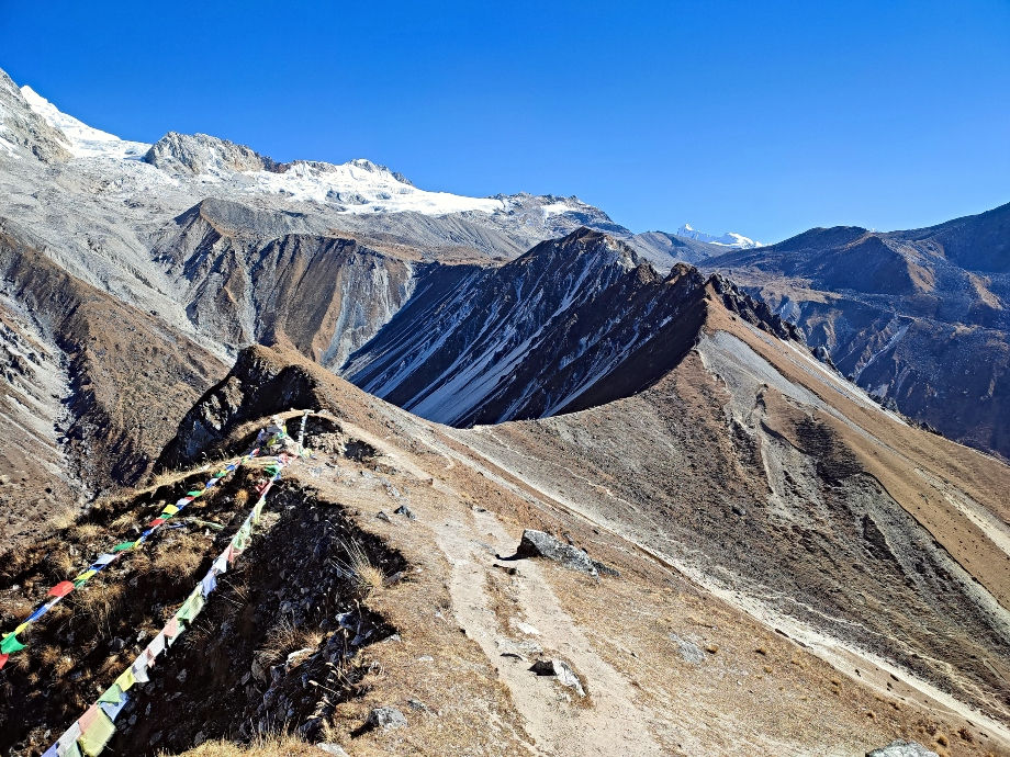 The start of the downward path from Kyanjin Ri. The hike up Kyanjin Ri is one of several excellent day hikes while on the Langtang trek.