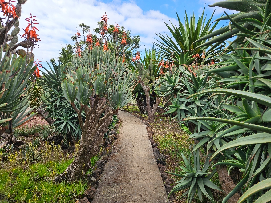 Madeira Botanical Gardens near Funchal.