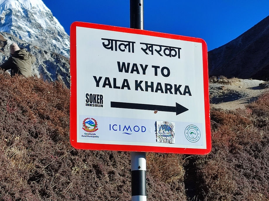 The first section of the hike to Yala Kharka and Yala Base Camp. This is a fantastic day hike on the Langtang trek.