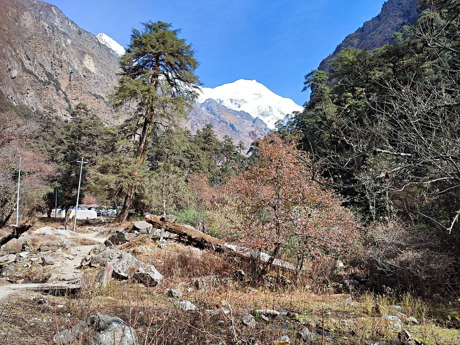 Hotel Woodland on the Langtang trek