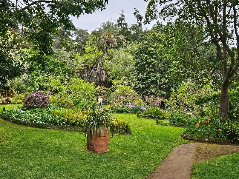 Palheiro Gardens in Funchal, Madeira
