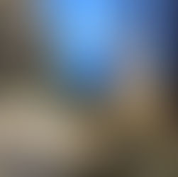 Larch trees between Phale and Ghunsa on the Kanchenjunga trek in Nepal.