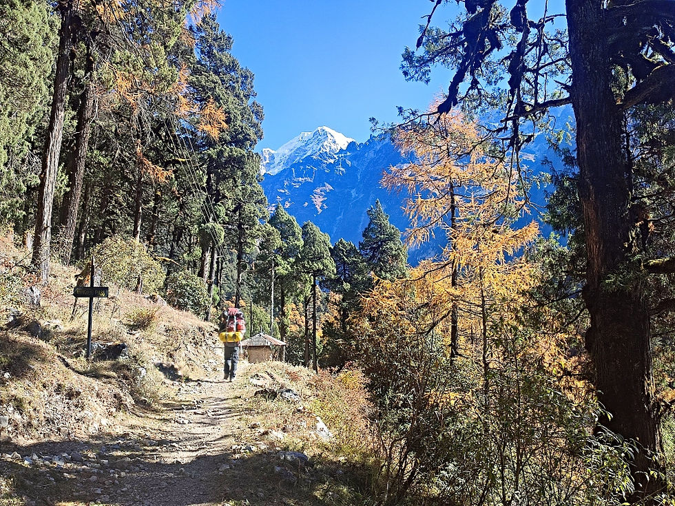 Trail between Phale and Ghunsa on the Kanchenjunga Bade Camp trek
