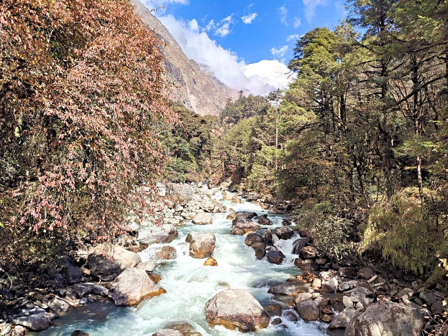 View between River Side and Ghoratabela on the main trail of the Langtang trek.