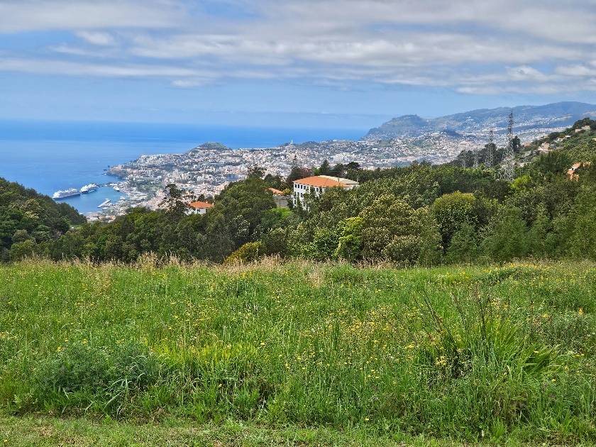 View of Funchal from Palheiro Gardens in Funchal, Madeira.