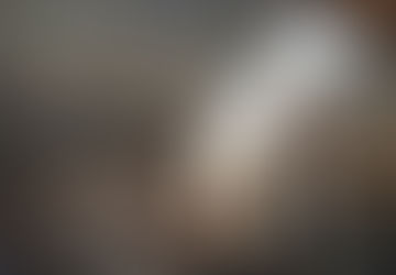 Παγκόσμια ημέρα των ζώων σήμερα. Τι έγιναν €8.800;