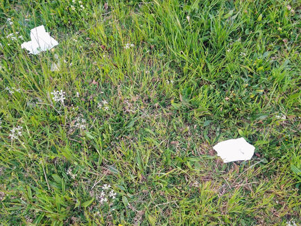 Φύτρωσαν deliveryες στο Βασιλικό!