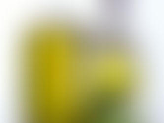 Τα €7.5/κιλό έφτασε η τιμή του ελαιολάδου