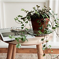 Round Wooden Table