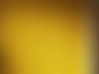 Charlotte Perkins Gilman: The Yellow Wallpaper