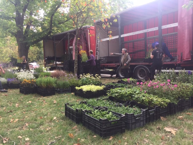 Ce week-end, fêtes de Plantes                   à Saint Jean de Beauregard