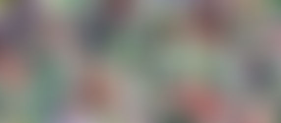 Curiosités végétales au jardin botanique de Grenade