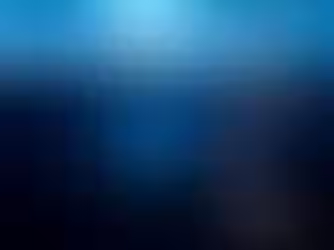 Il Corpo Parla