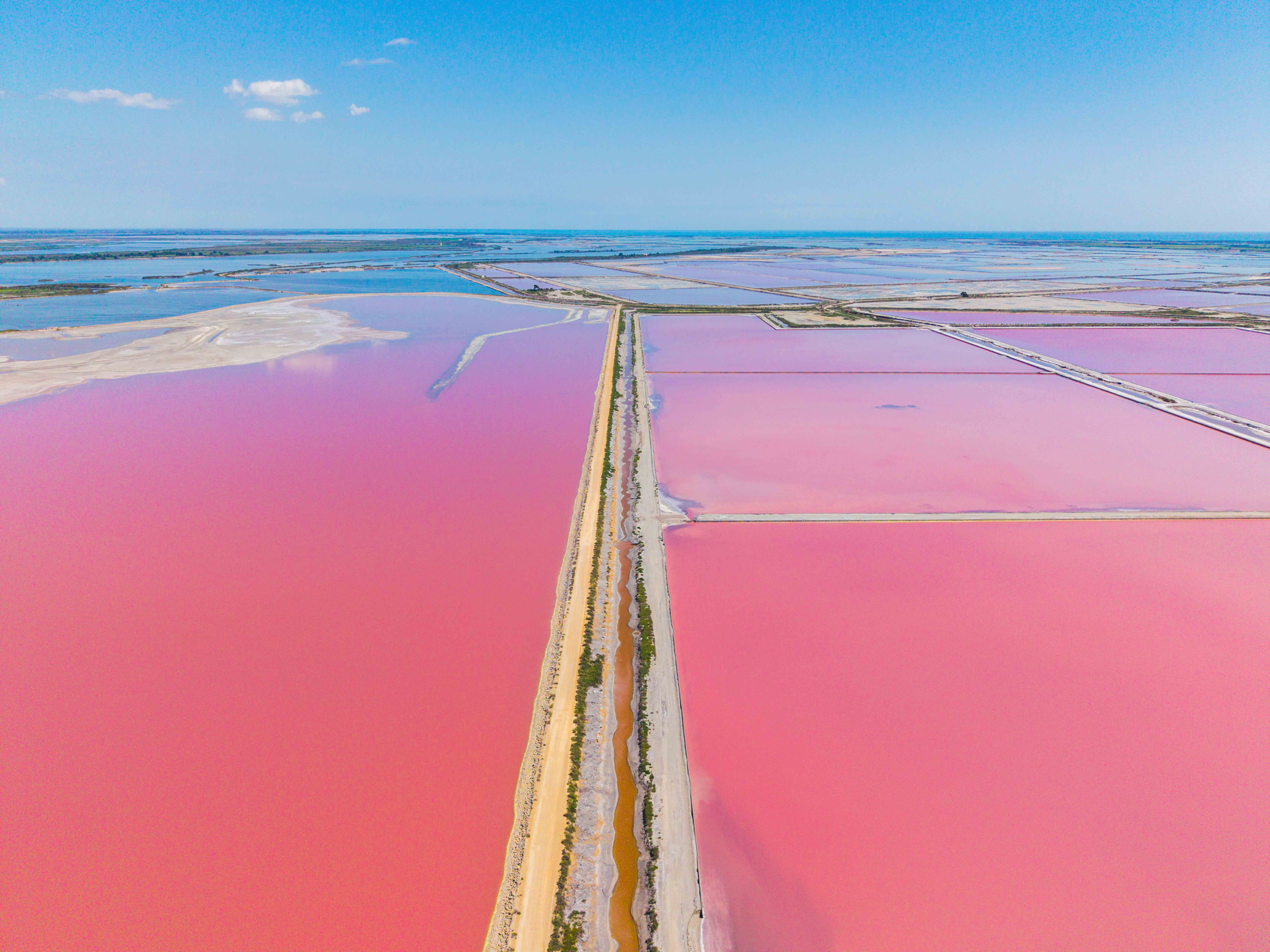 Salins de Camargue10