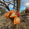 IMG_1111.jpeg