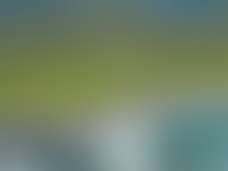 I Mau Ke Aloha: Dinner Event