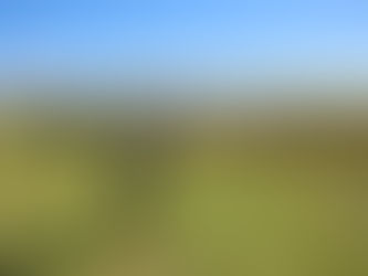 Lau Ke Aloha: Hawaiʻi Games & Kinolau Native Species Art Creation Day