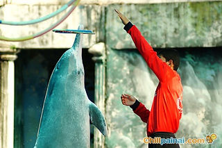 Oasis Sea world