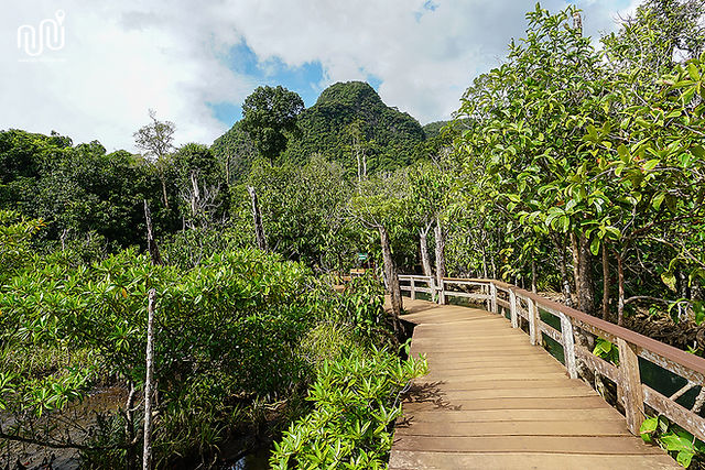Tha Pom Khlong Song Nam at Krabi