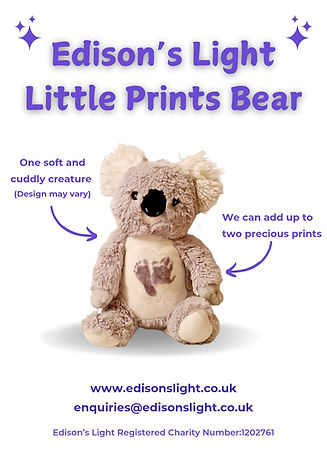 little prints bear.jpg