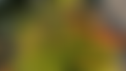 Gardening is an Act of Faith