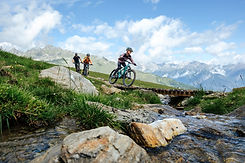 Eine Familie düst mit Fahrrädern den Berg hinab - Familyshooting_Zirbentrail (c) Serfaus-Fiss-Ladis Marketing GmbH_Manuel Kokseder