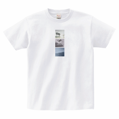 ALL PRODUCTS | SURFCO