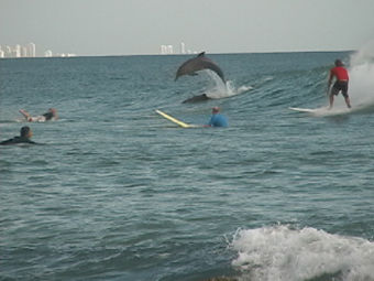 SURFCOミラクル写真館　番外編