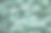 Clover Leaves_edited.png