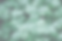 Clover Leaves_edited.png