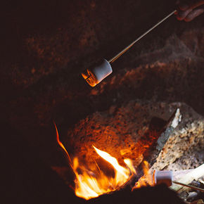 feu de camp.jpg