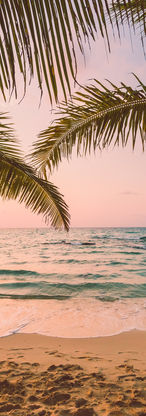 TERRENO TULUM BOCAPAILA-12.jpg