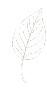 simple leaf_edited_edited_edited.png