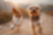 Dogs walking off leash in our Board and Train Program.