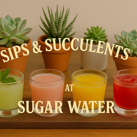 Sips & Succulents: A Spirited Summer Planting Party at Sugar Water
