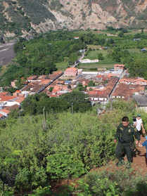 IMG_1525 Large.jpeg