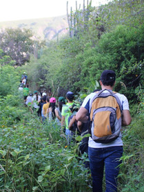 IMG_1519 Large.jpeg