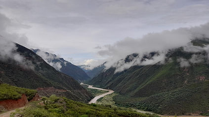 20221005_080035 Large.jpeg