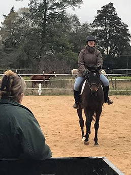 Stratton Ridge Texas LESSON HORSES | Stratton-Ridge