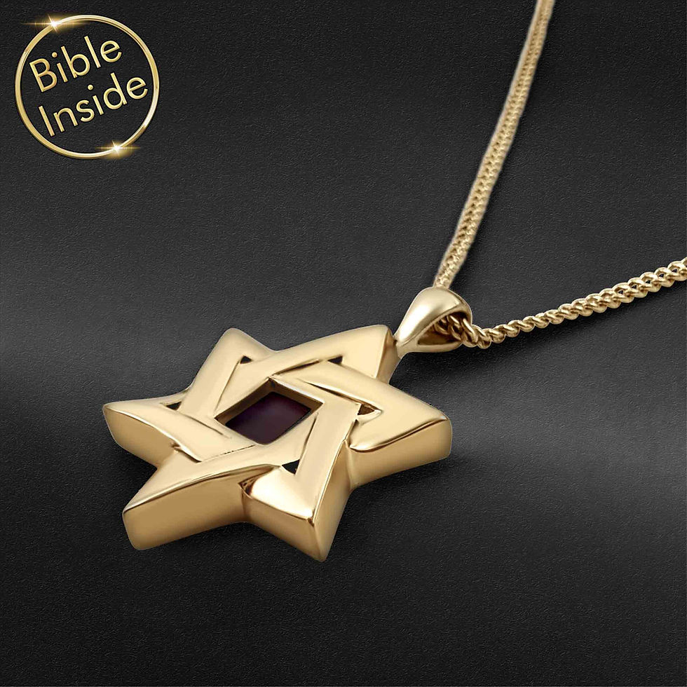 Thumbnail: Star-Of-David Necklace With Nano Bible