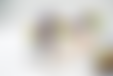 Des yaourts au lait de brebis sur lit de figues