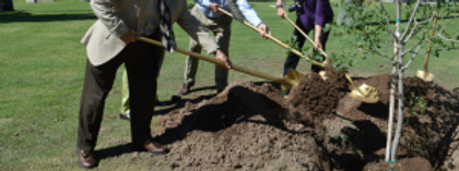 planting-slider-300x112.png