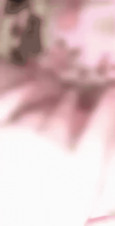 video_2025-12-14_22-19-22.gif