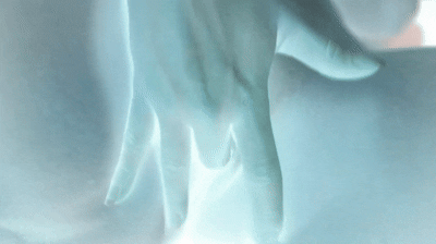 video_2024-08-27_11-28-56 (4).gif