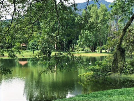 Taiping Today: A Town That Time Blessed (Final Part - 4)